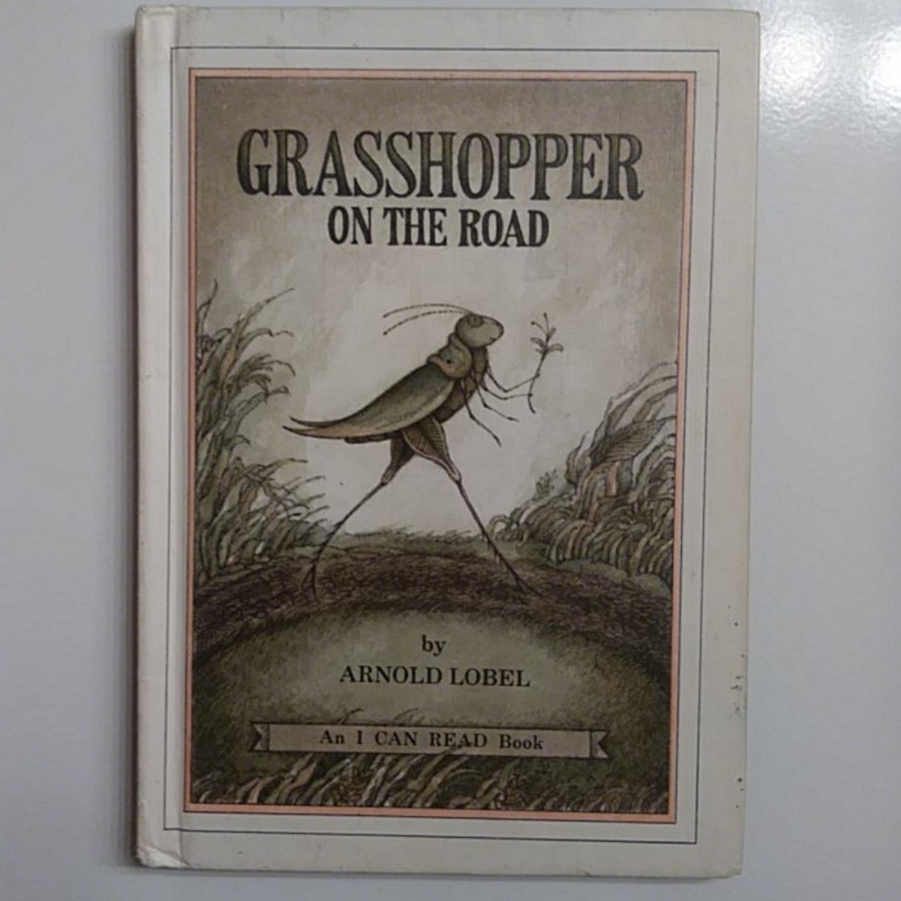 📚 4 for $20 📚 Grasshopper On The Road 1978 Vintage Book
